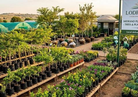Premium Plants & Trees Delivered Right to Your Door in Midrand!
