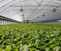 Agricultural Plastic Products Manufacturer Johannesburg - 2/2
