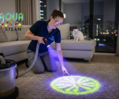 Pet Stain & Odor Cleaning in Gauteng | AquaSteam