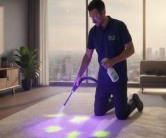 Carpet Odor Removal in Pretoria & Gauteng | AquaSteam