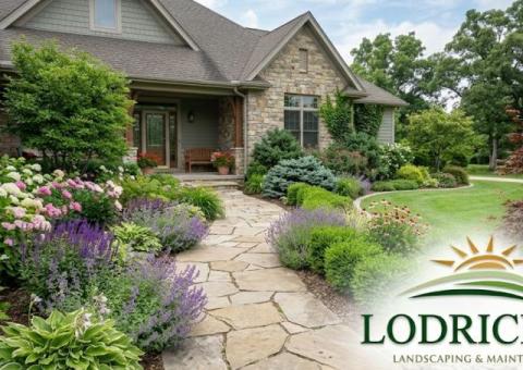 Transform Your Outdoor Space with Professional Landscaping!