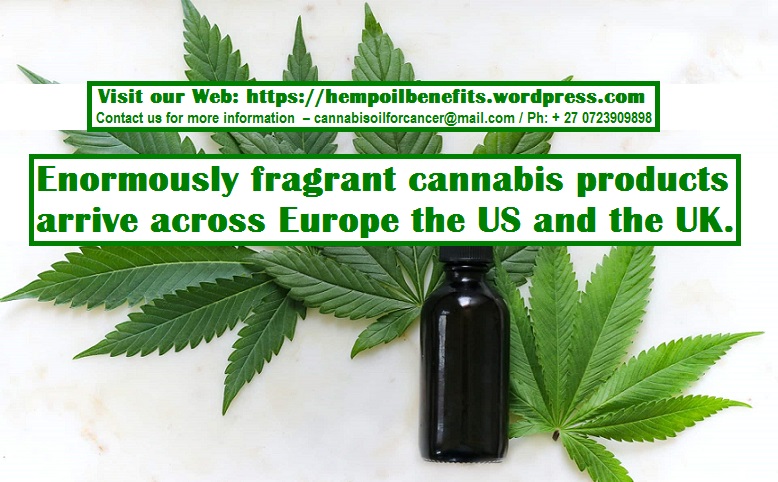 fragrant cannabis (CBD) Oil for European People in Germany